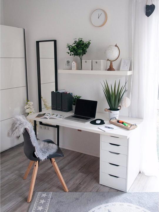 Immagine prodotto Europalms Aloe Vera (60 cm)