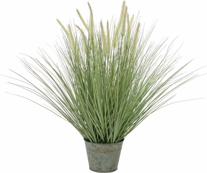 Actual product image Europalms Ornamental grass (70 cm)