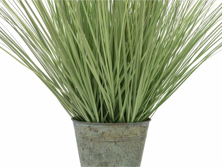 Actual product image Europalms Ornamental grass (70 cm)