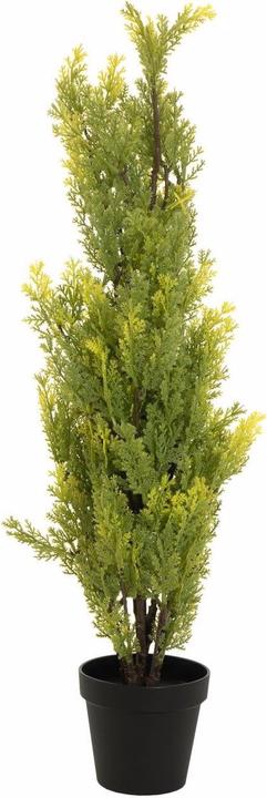 Produktbild Europalms Zypresse (90 cm)