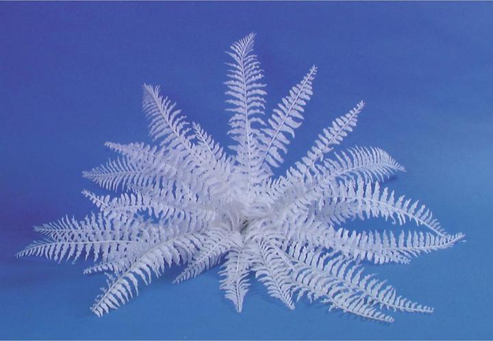 Produktbild Europalms Dekofarn zum Selbstfärben (60 cm)