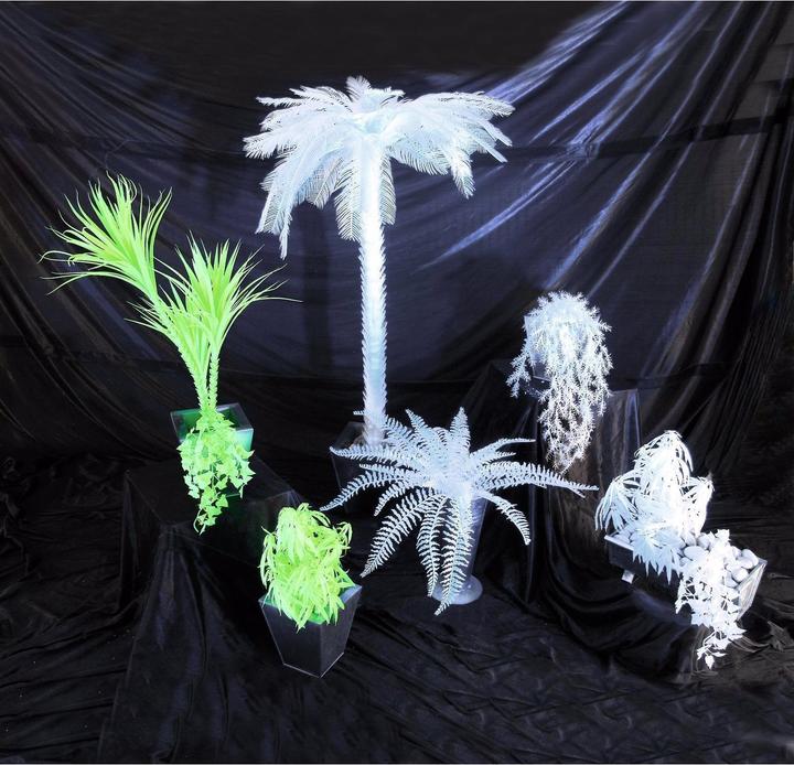 Produktbild Europalms Dekofarn zum Selbstfärben (60 cm)