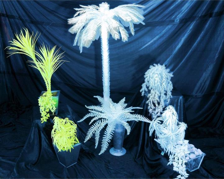 Produktbild Europalms Dekofarn zum Selbstfärben (60 cm)