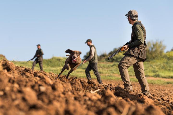 Actual product image Solognac 520 (S)