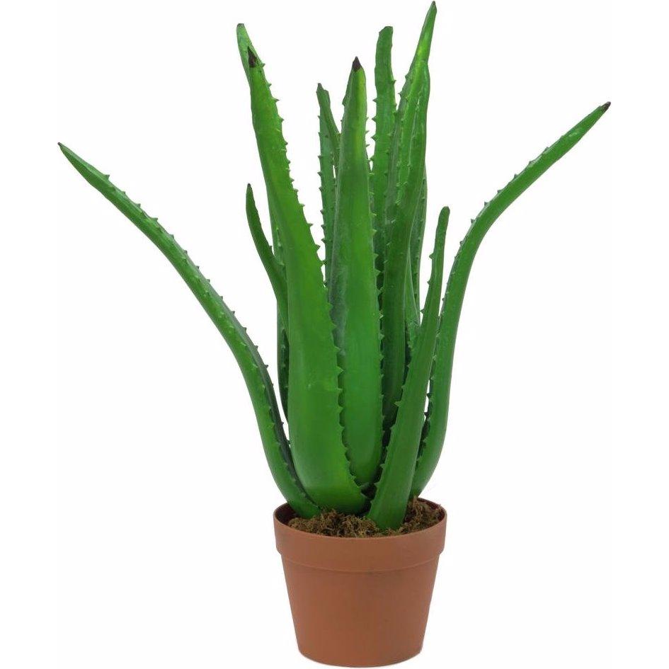 Europalms, Kunstpflanzen, Aloe-Vera (63 cm)