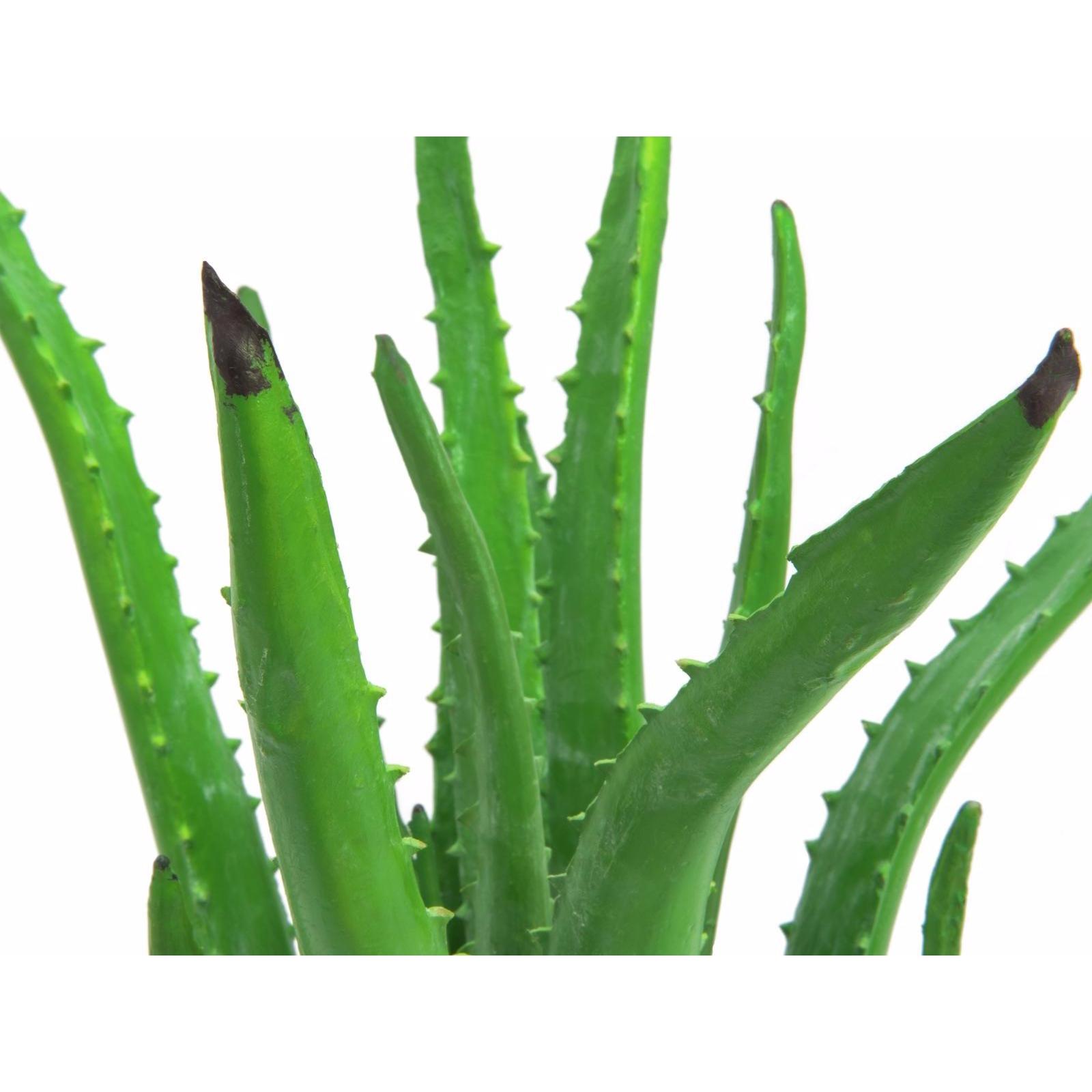 Thumbnail - Europalms, Kunstpflanzen, Aloe-Vera (63 cm)