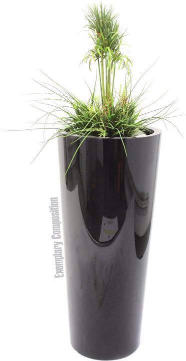 Actual product image Europalms Grass arrangement (90 cm)