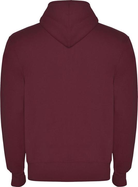 Actual product image Alpinia Unisex Adult Montblanc Full Zip Hoodie (M)