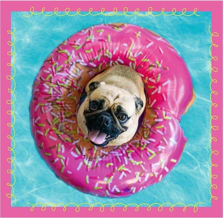 Immagine prodotto Trefl Puzzle - Cani - 3in1 20-50 pezzi (50 pezzi)