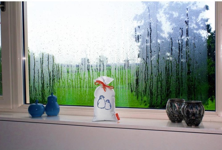 Actual product image Pingi Original Reusable Dehumidifier 2 x 450 g