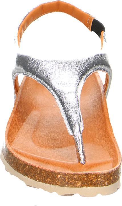 Produktbild Verbenas REAGAN Plata (39)