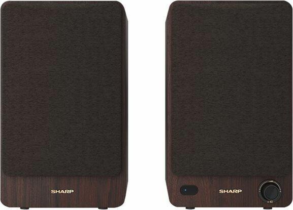 Actual product image Sharp CP-SS30 (1 pair, 60 W)