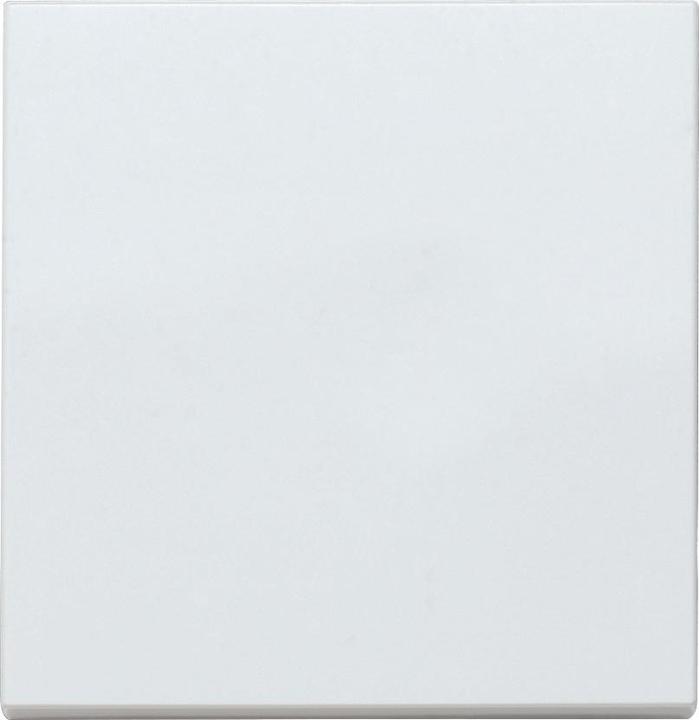 Panasonic WDTR00011WHEU1 Plus 55 rocker white