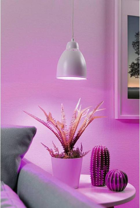 Immagine prodotto Paulmann Hilla Neordica (E27)