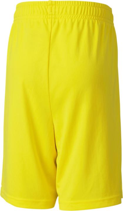 Image du produit Puma Short en tricot teamGOAL 23 jr-704263 (176)