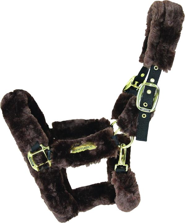Produktbild Kentucky Horsewear Halfter Lammfell