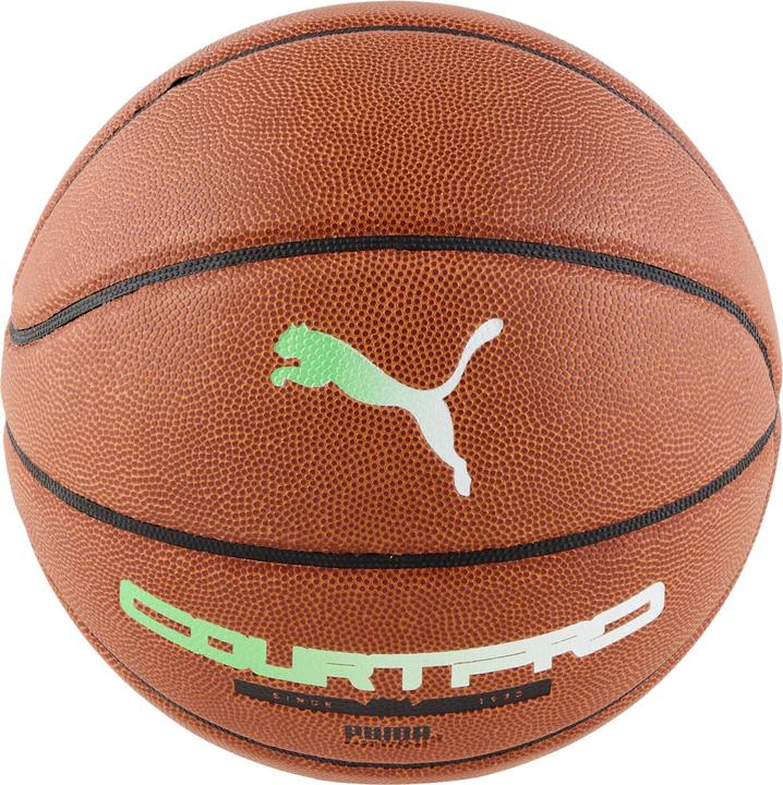 Immagine prodotto Puma teamJAWS Court Pro Basketball (7)