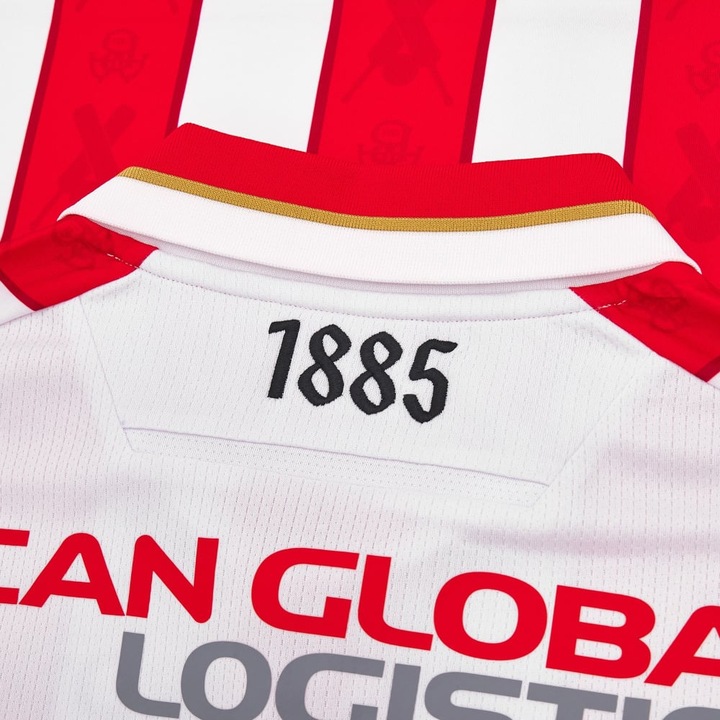 Actual product image Macron Aalborg BK Jersey (L)