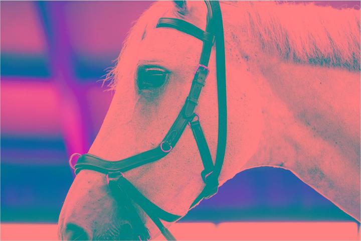 Produktbild Horseware Micklem Multi