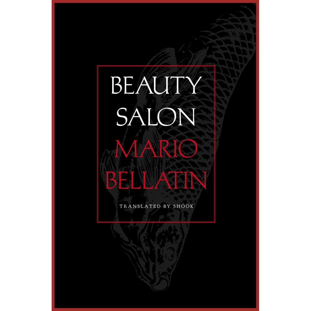 Bellatin:Beauty Salon, Belletristik