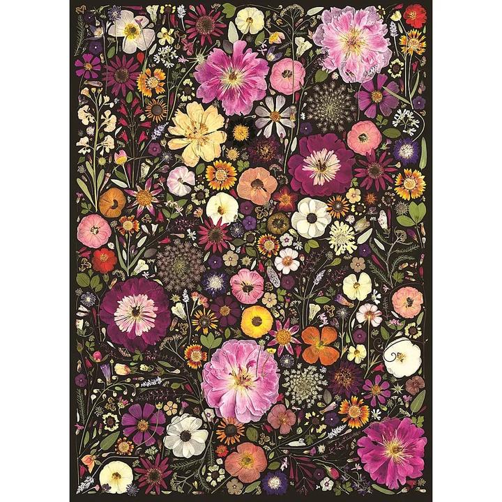 Produktbild Cobble Hill Blütenpresse: Zierblumen 500 Teile (500 Teile)
