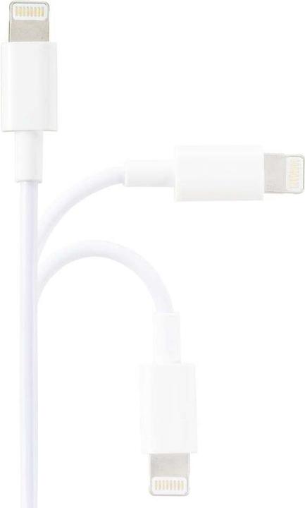 Actual product image Renkforce USB A — Lightning (3 m, USB 2.0, 4.50 W)