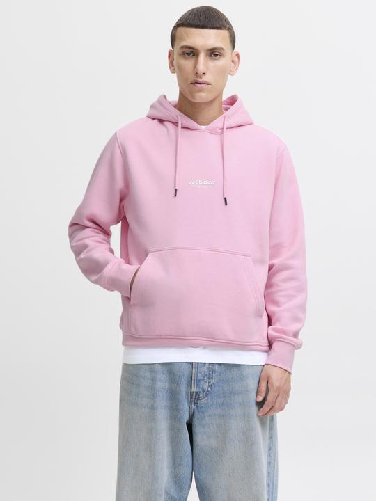 Produktbild Jack & Jones Jjesoho Sweat Hood Noos (XXL)