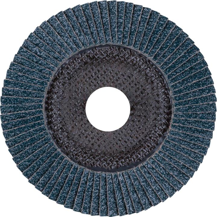 Actual product image Pferd Flap disc (60)