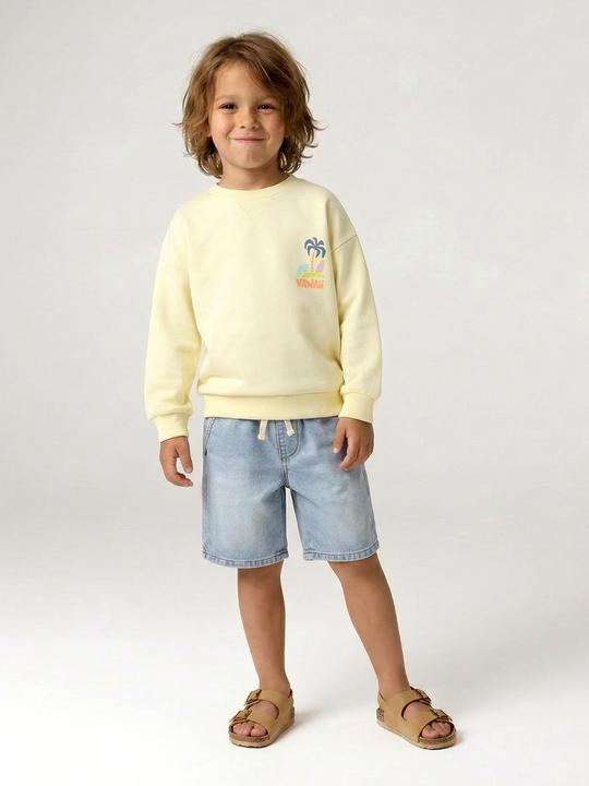 Produktbild Vertbaudet Jungen Sweatshirt mit Sommer-Motiv (140)
