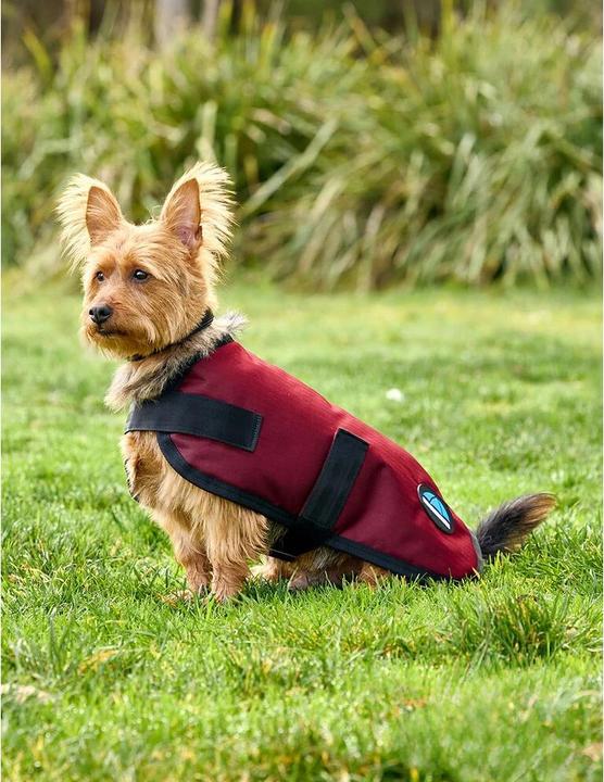 Weatherbeeta Comfitec Classic (Hundemantel)
