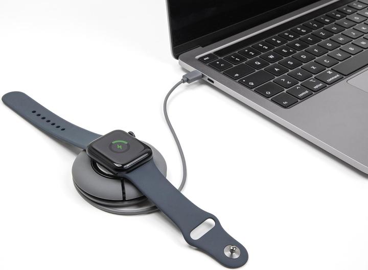 Image du produit Delock Câble de recharge USB Type-C enroulable pour Apple Watch 1 m gris