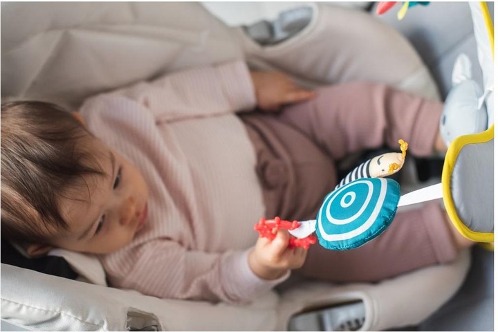 Immagine prodotto Taf Toys Auto giocattolo Koala