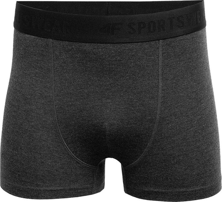 Produktbild 4F NOSH4 Boxershorts (2erPack) (S, 2er Pack)