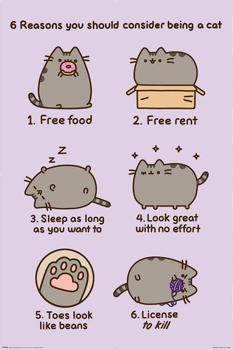 Pyramid Pusheen posters Reasosn to be a Cat 61 x 91 cm (4) (61 x 91 cm)