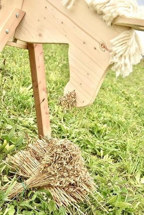 Actual product image Rülke Tom Outdoor Horse Adventure Play Toy