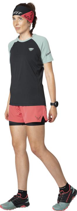 Produktbild Dynafit Alpine Pro T-Shirt (38)