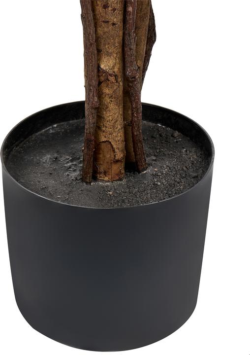 Produktbild Beliani Umbrella Tree (175 cm)