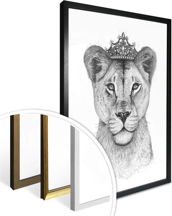 Image du produit Trenddeko La reine des lionnes (30,5 x 30,5 cm)