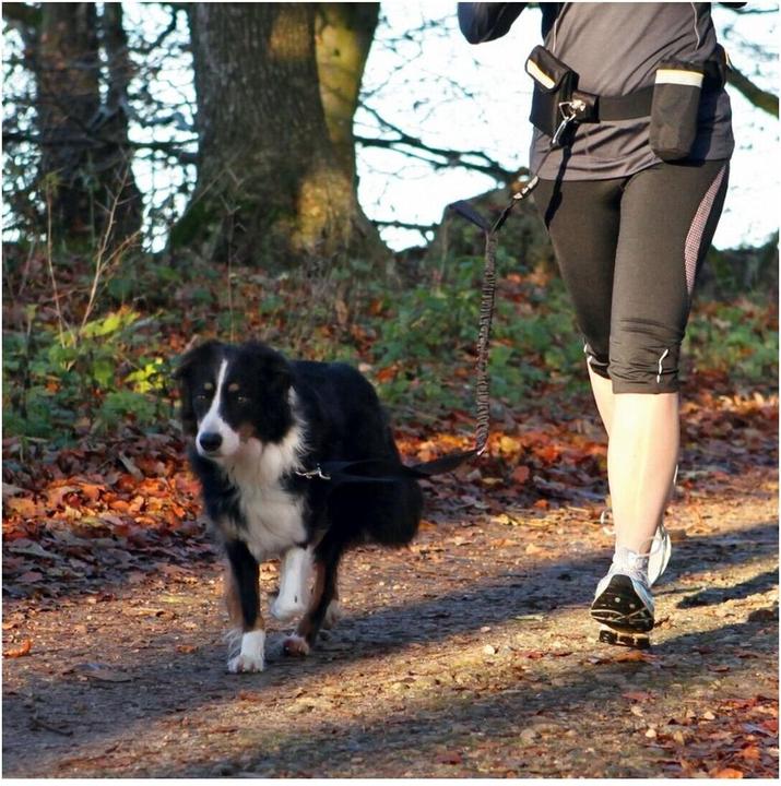 Actual product image Trixie Belly strap (Dog, Jogging)