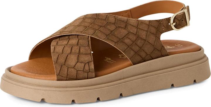 brown strcture, BROWN STRUCT.