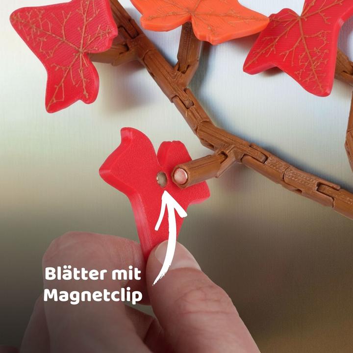 Produktbild Hermex 23-tlg. 3D Efeu-Kühlschrankmagnet-Set Magnet Efeuranken-Deko (23x)