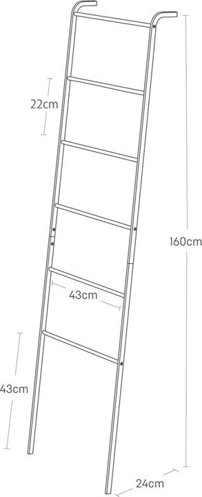 Immagine prodotto Yamazaki Scala per vestiti inclinata TOWER