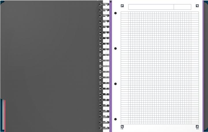 Image du produit Oxford Livre européen (A4, Quadrillé, Couverture rigide)