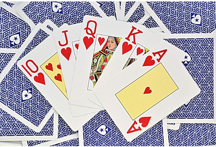 Produktbild Bicycle EPT 100% Plastic (Deutsch)