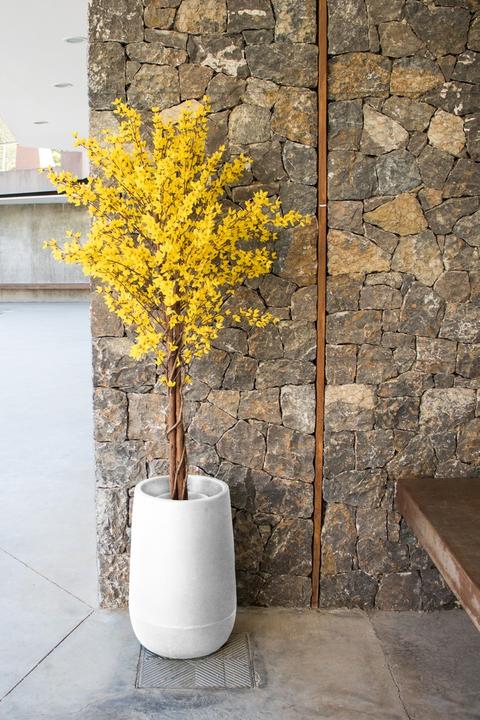 Image du produit Newgarden Camélia