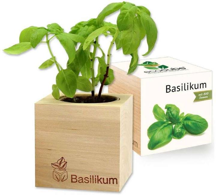 Actual product image Feel Green Ecocube (Herb seeds)