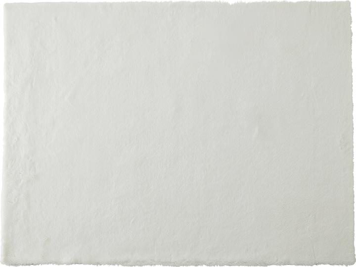 Produktbild Lipo Buggy (290 x 200 cm)