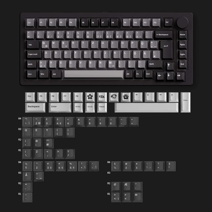 Actual product image Akko Monsgeek M1 V5 (DE, Cable, Wireless)
