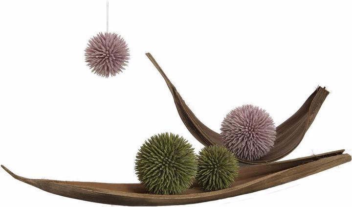 Immagine prodotto Europalms Palla di succulente (20 cm)
