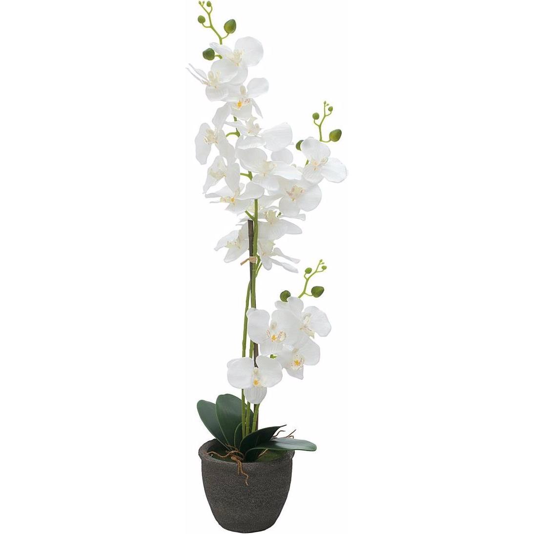 Europalms, Kunstpflanzen, Orchidee (80 cm)